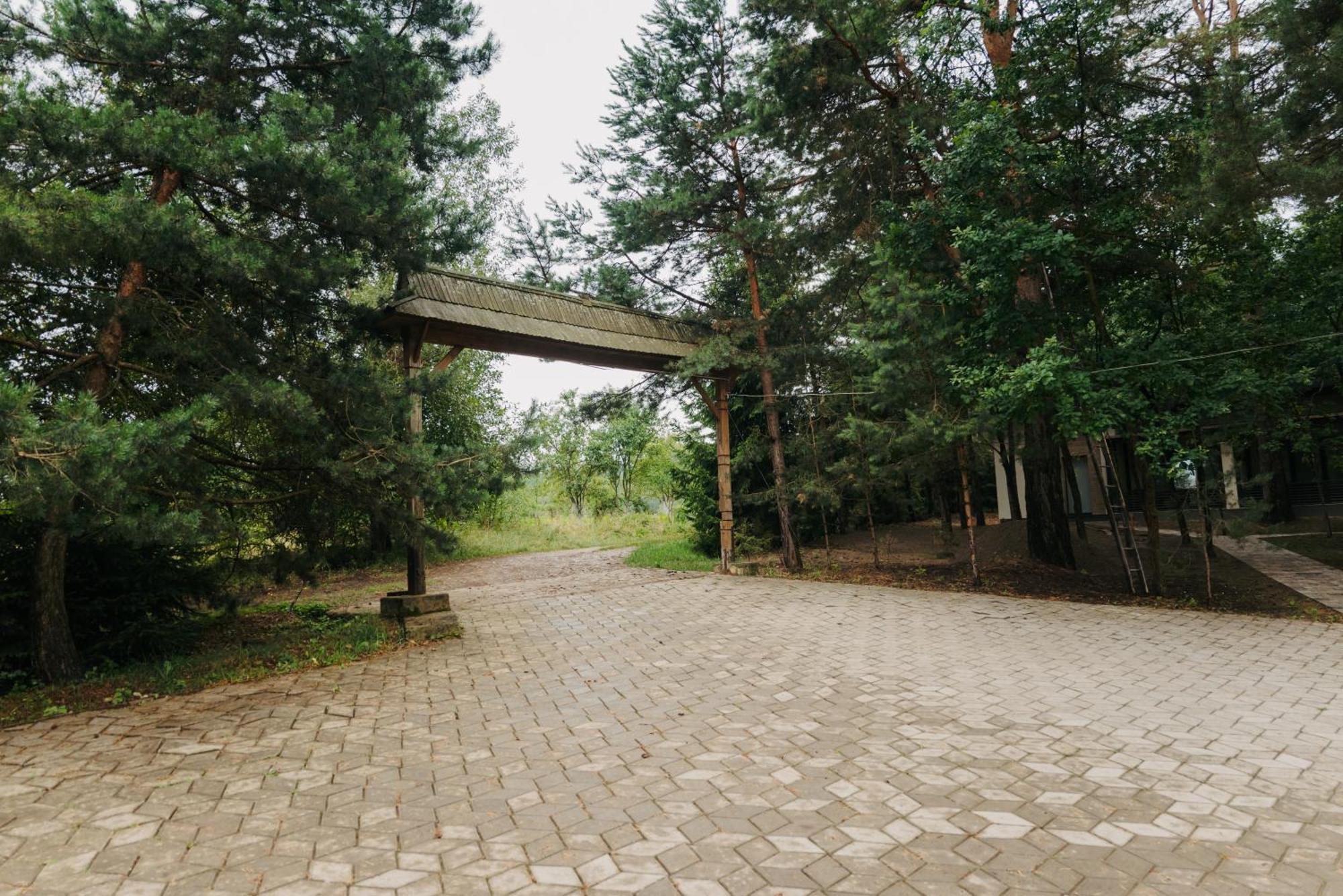 Сосновий Двір Kosiv Bagian luar foto